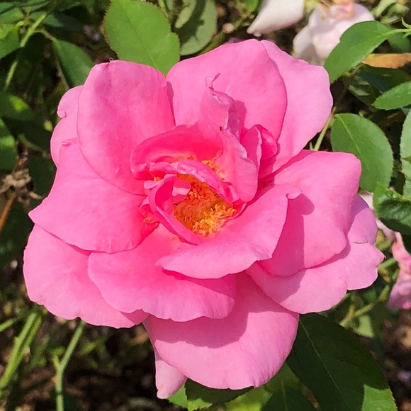 malibu0522